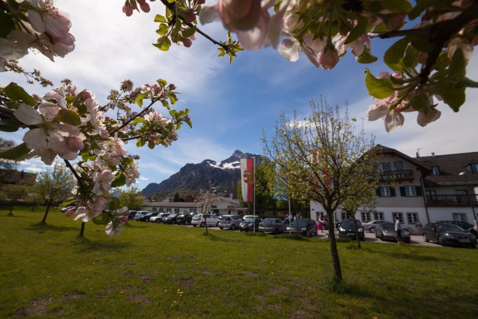 Facade/entrance, Mountain view