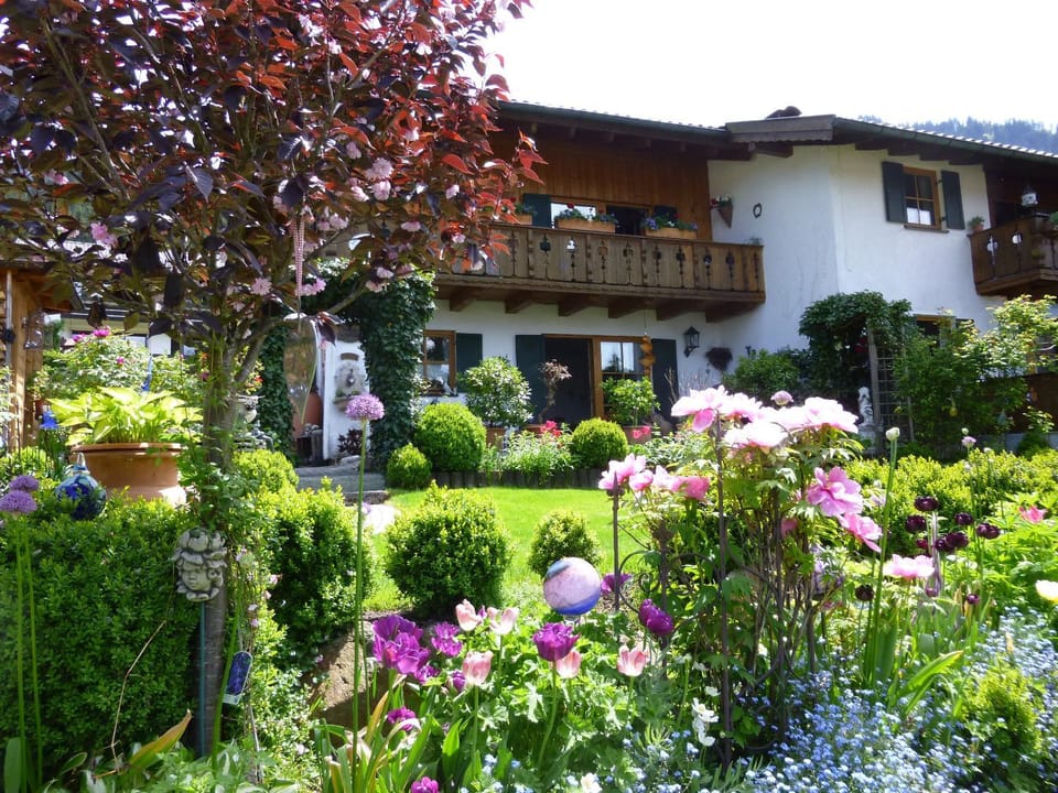 Property building, Summer, Garden view