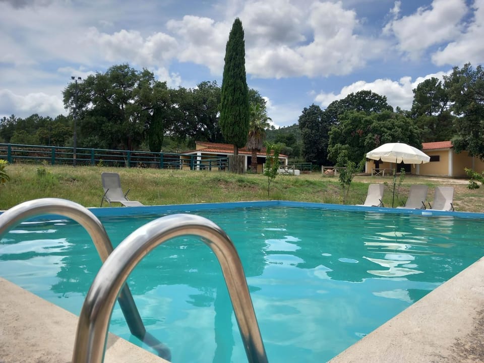 Pool view, sunbed