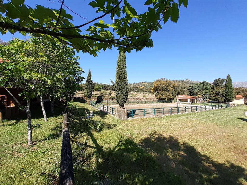 Garden, Mountain view