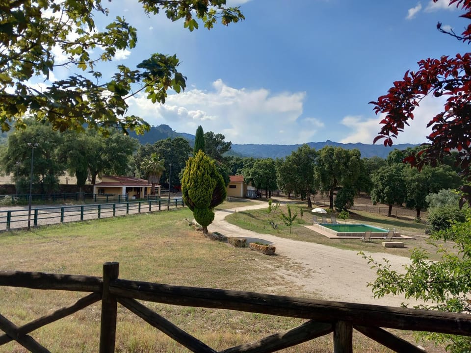 Mountain view