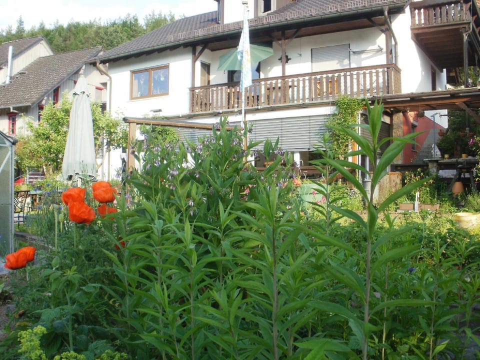 Property building, Garden