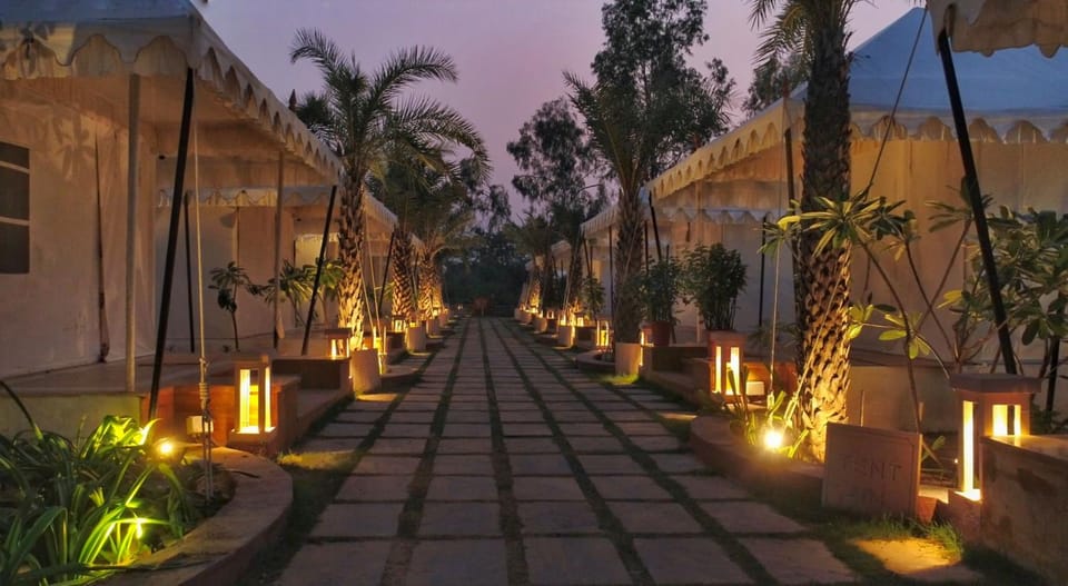 Other, On site, Area and facilities