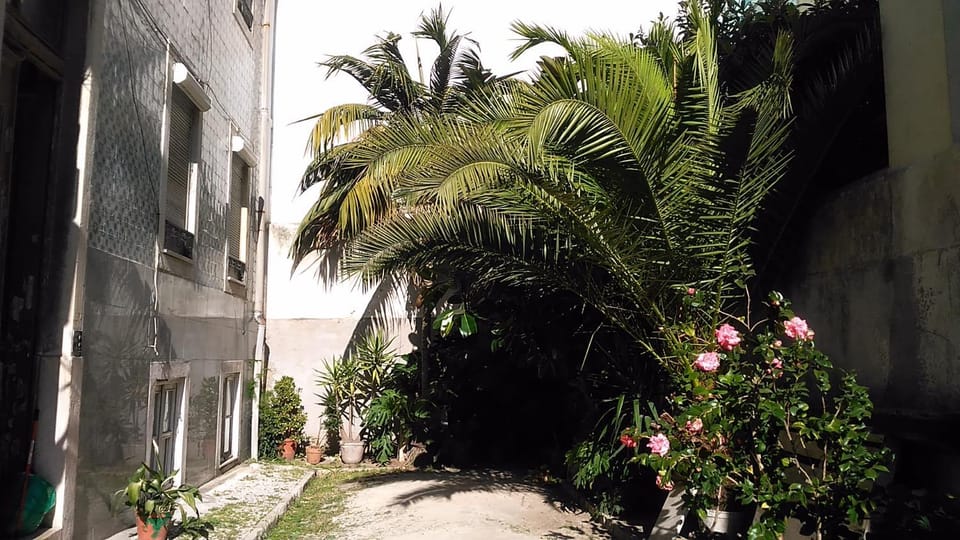Property building, Garden