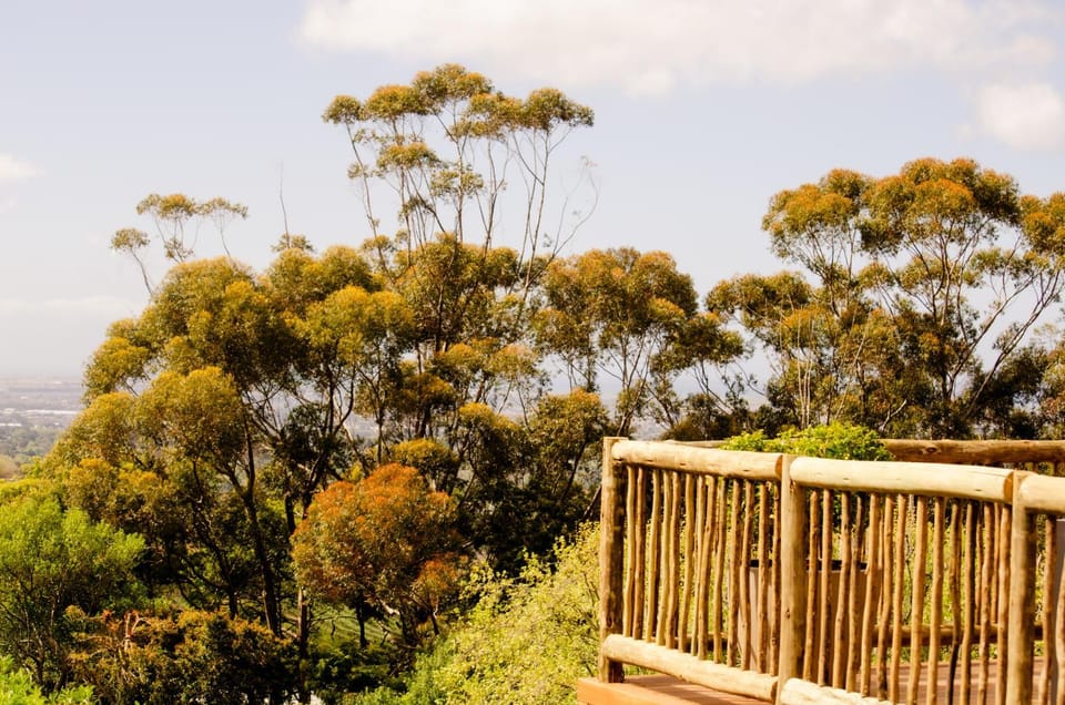 Day, Natural landscape, Garden view