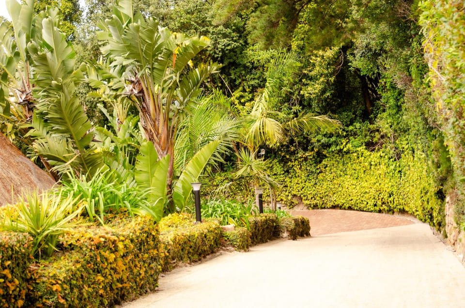 Facade/entrance, Day, Natural landscape, Garden, Garden view