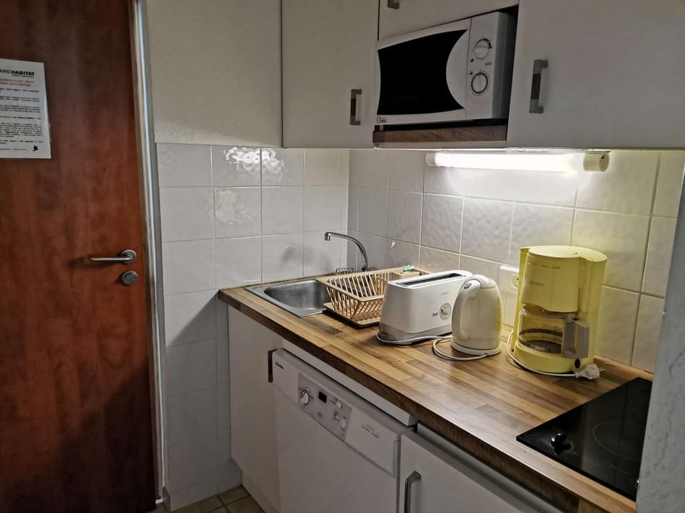 Studio 4 pers, pied des pistes, sud, La Mongie - FR-1-404-92 Apartment in Aragon