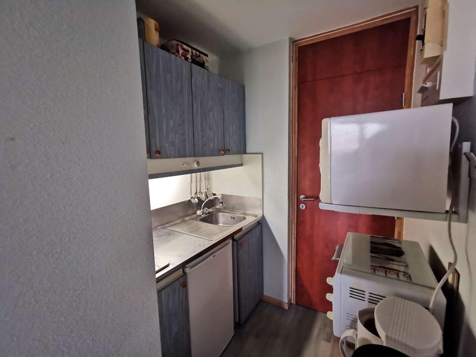 Studio cosy 4 pers. pied de pistes, animaux admis - FR-1-404-5 Apartment in Occitanie