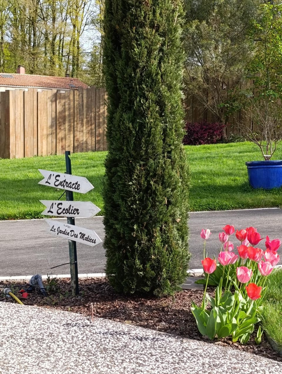 Garden, Garden view, acessibility
