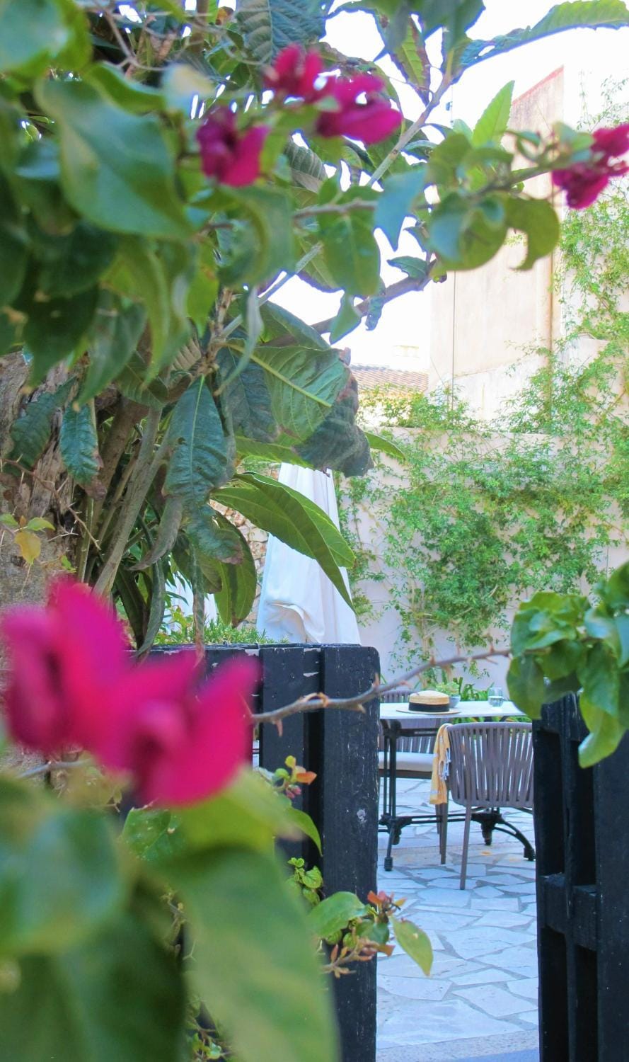 Patio, Garden