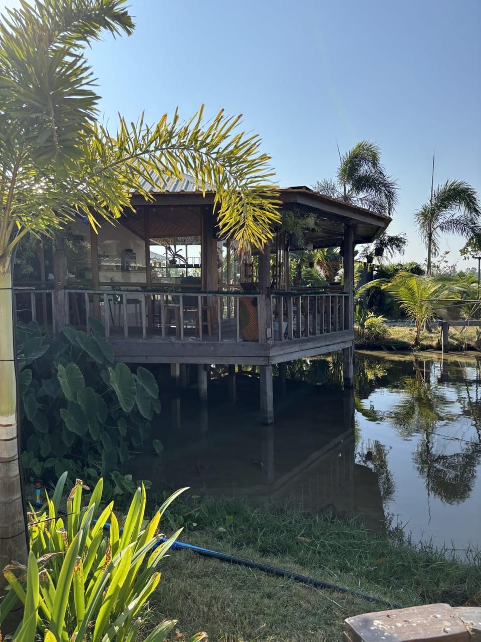 Garden, Garden view, Lake view