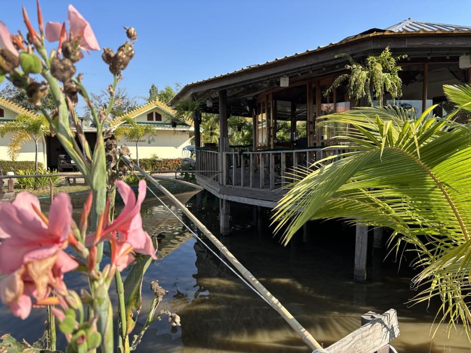 Garden, Garden view, Lake view