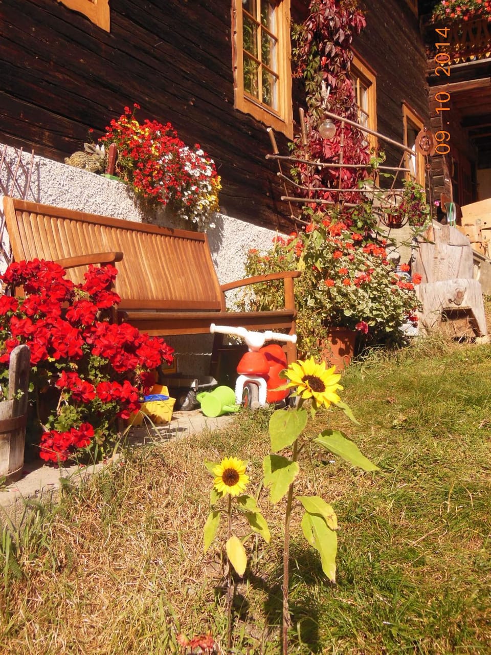 Apartments Obergraferhof Farm Stay in Trentino-South Tyrol