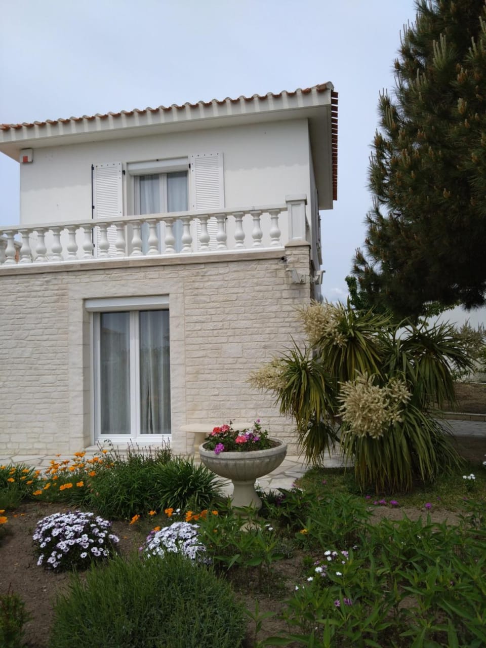 Property building, Garden view