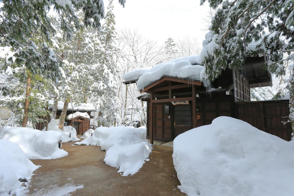 Winter, Garden