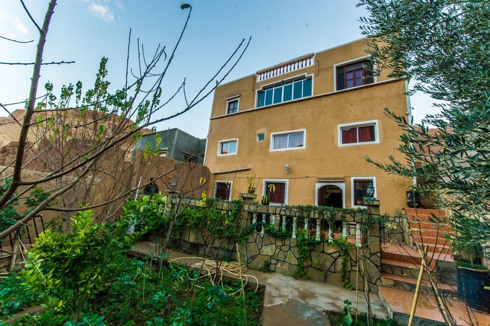 Property building, Day, Garden