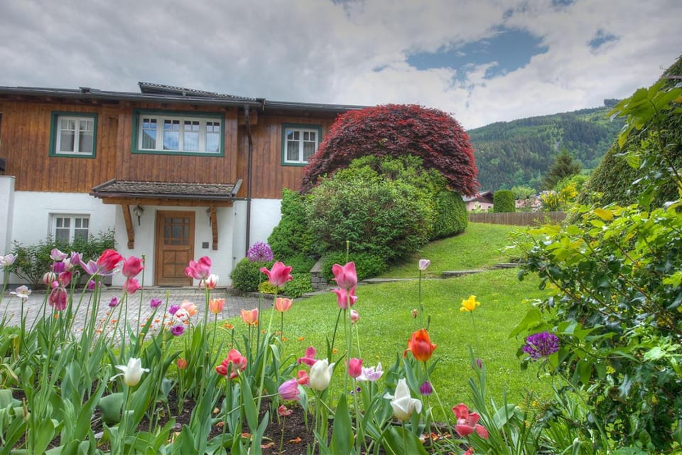 Summer, Garden view