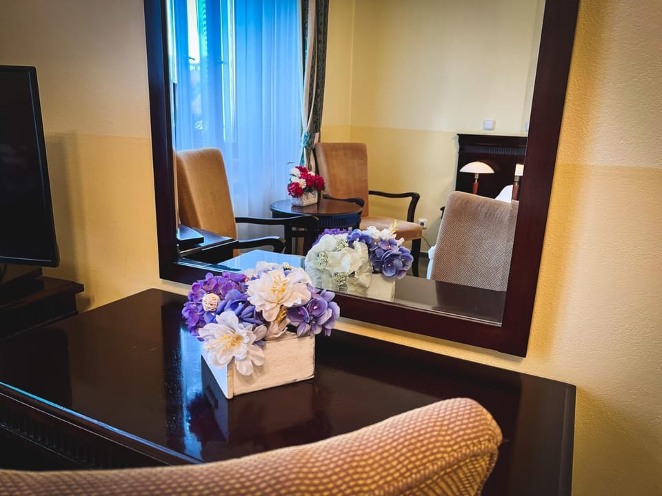 Hotel U Zeleneho stromu Hotel in South Bohemian Region