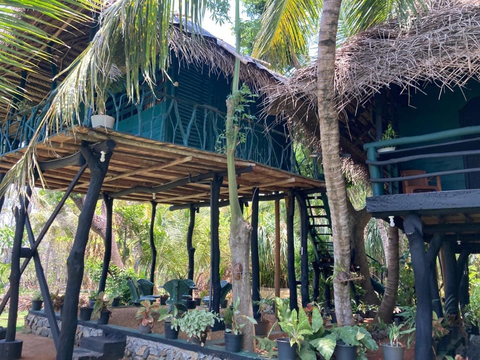 Lake Face Cabana Bed and Breakfast in Southern Province