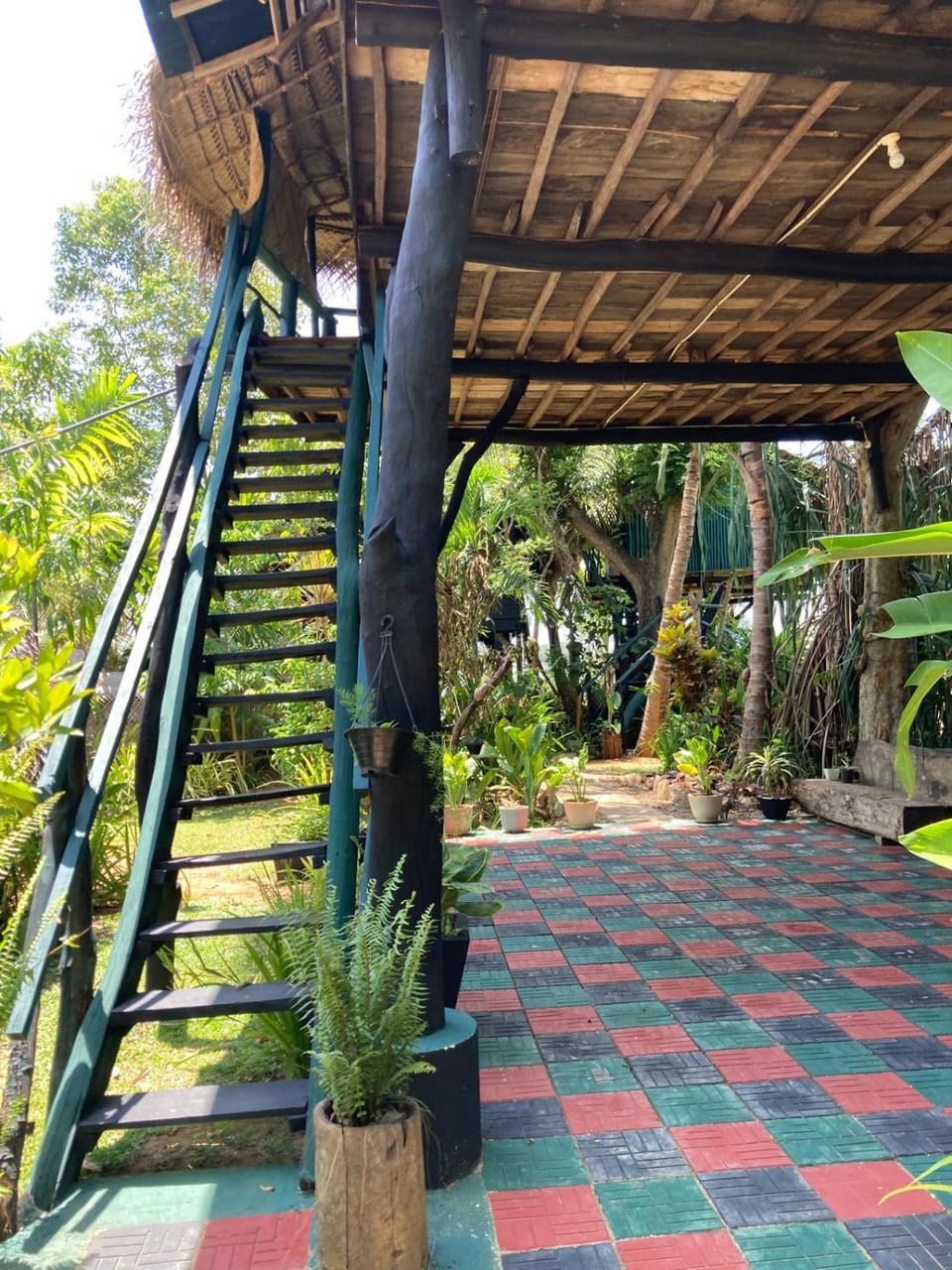 View (from property/room)