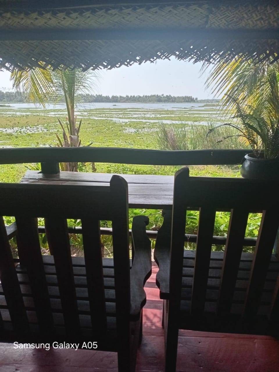 View (from property/room)