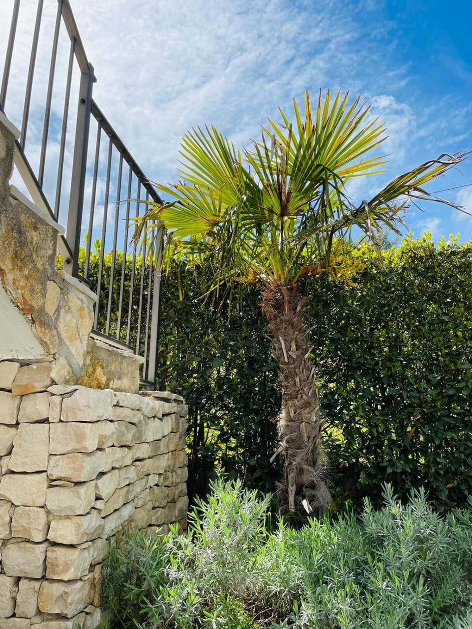 Villa SARA Apartment in Split-Dalmatia County