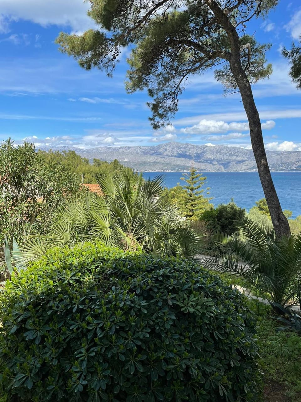 Villa SARA Apartment in Split-Dalmatia County