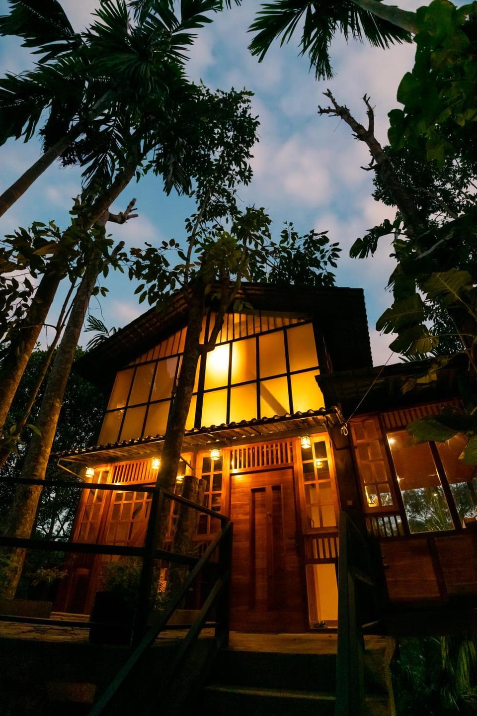 Property building, Night, Garden