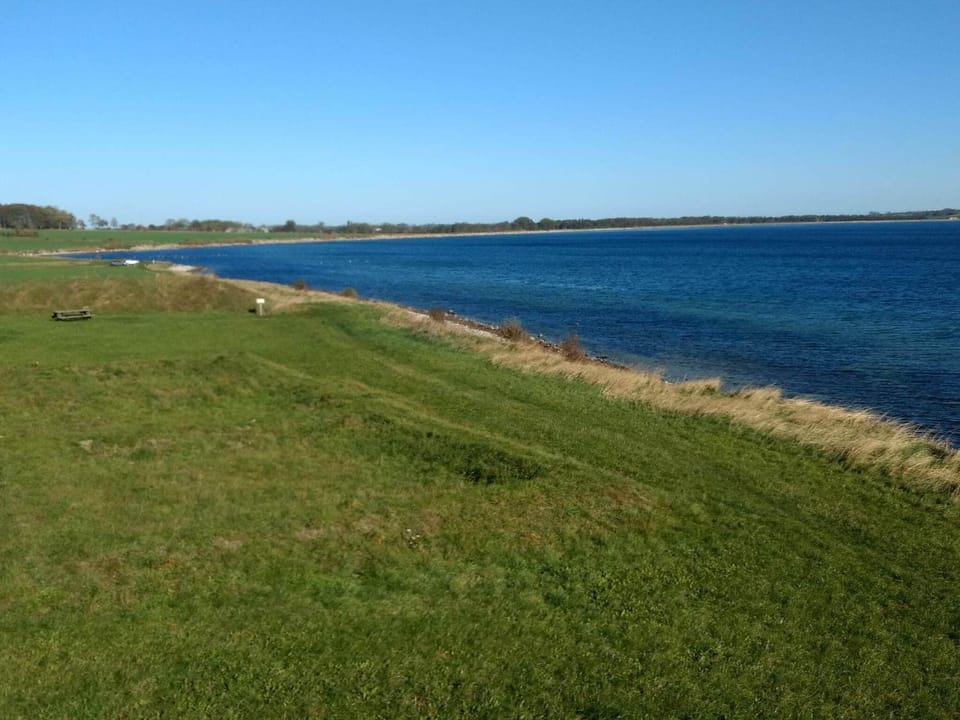 Lake view