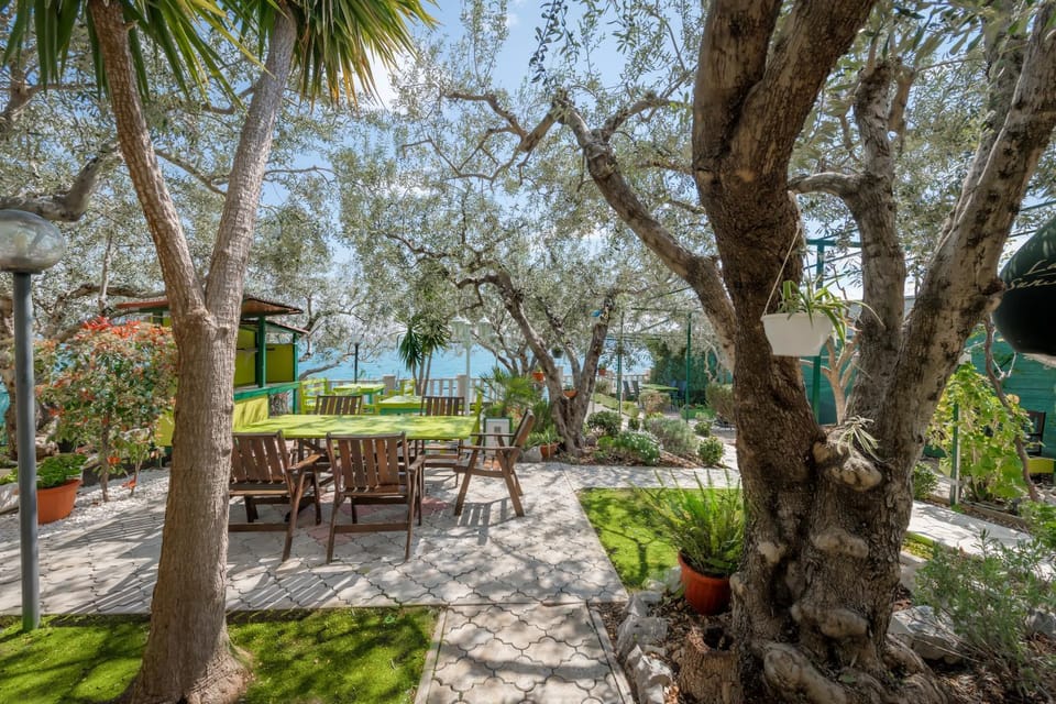Garden, Seating area, Sea view