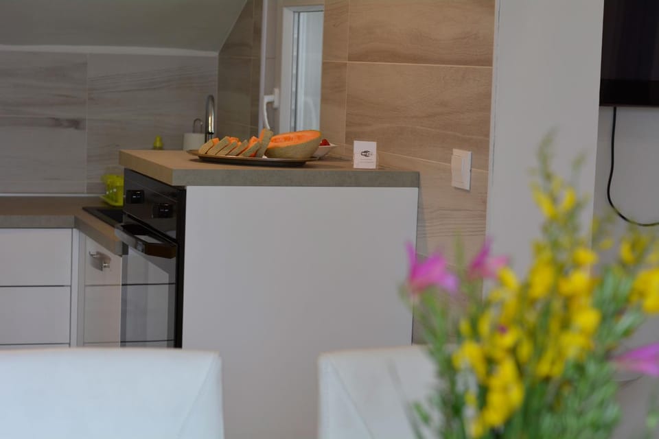 Kitchen or kitchenette, pet friendly, kitchen