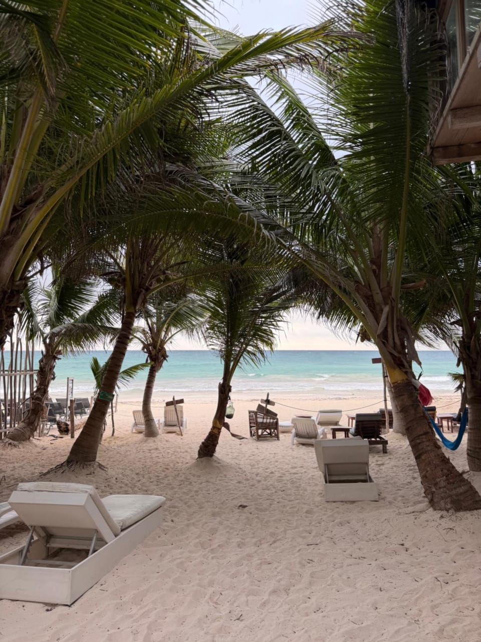 Beach, Sea view, sunbed