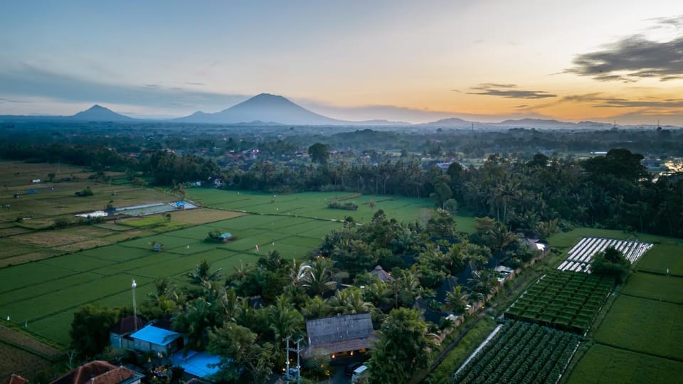 Property building, Garden, Garden, Ski School, View (from property/room), Pool view, Swimming pool, Swimming pool
