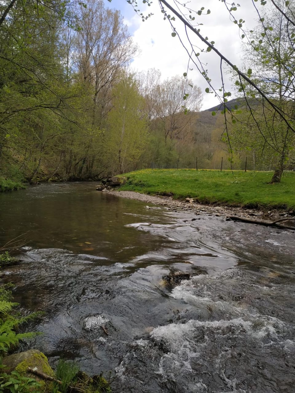 Activities, Open Air Bath