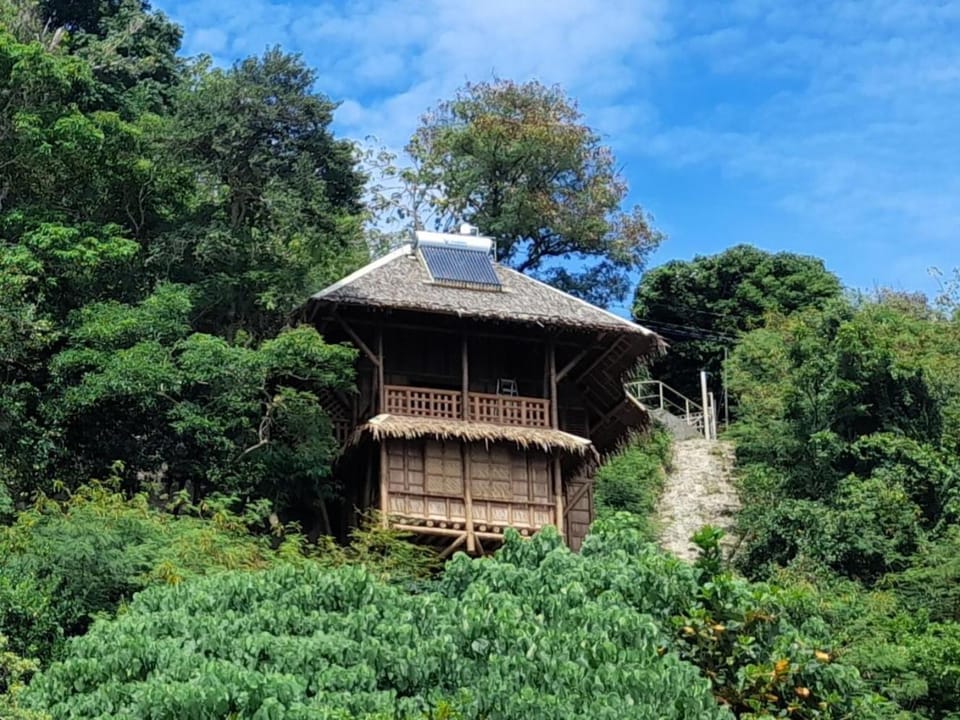 Property building, Natural landscape, Garden