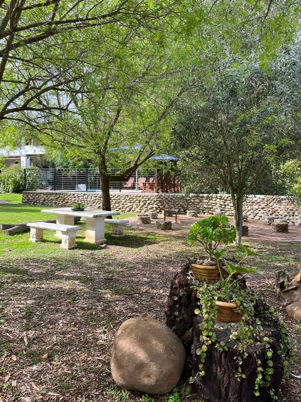 Garden view