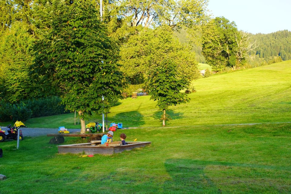 Day, Natural landscape, Summer, Children play ground, Garden, Garden view, children
