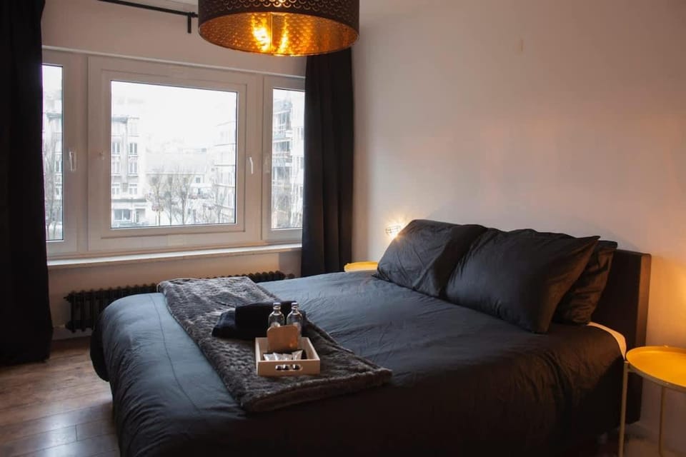 Stylish Central Flat, Steps to Beach Apartment in Ostend