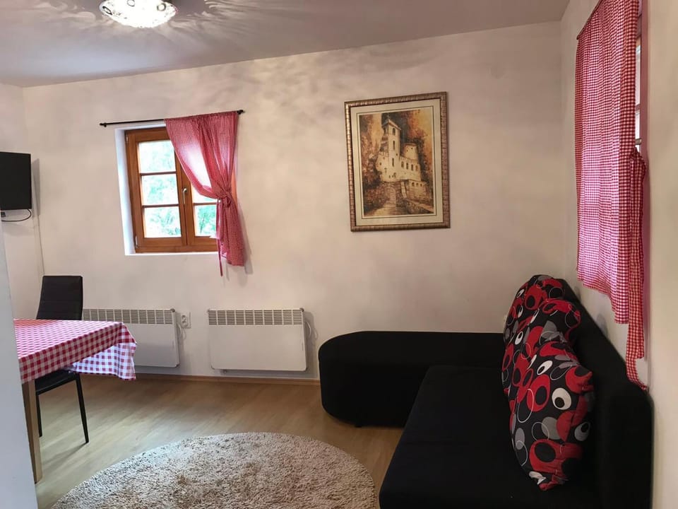 Domik Apartment in Zlatibor District, Serbia