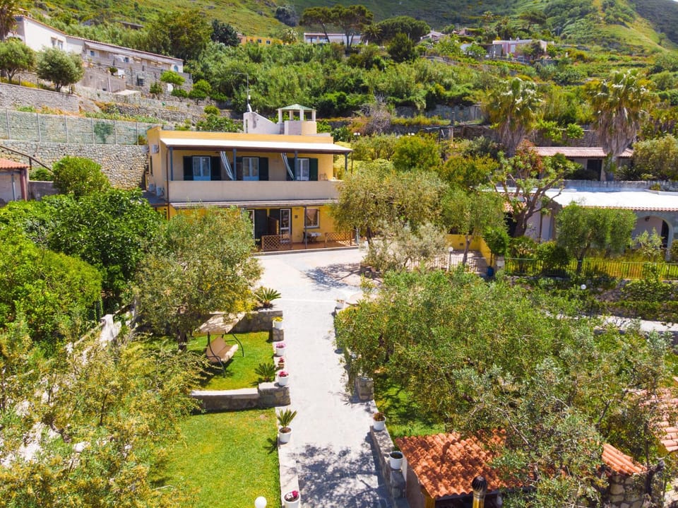Property building, Garden, Garden view