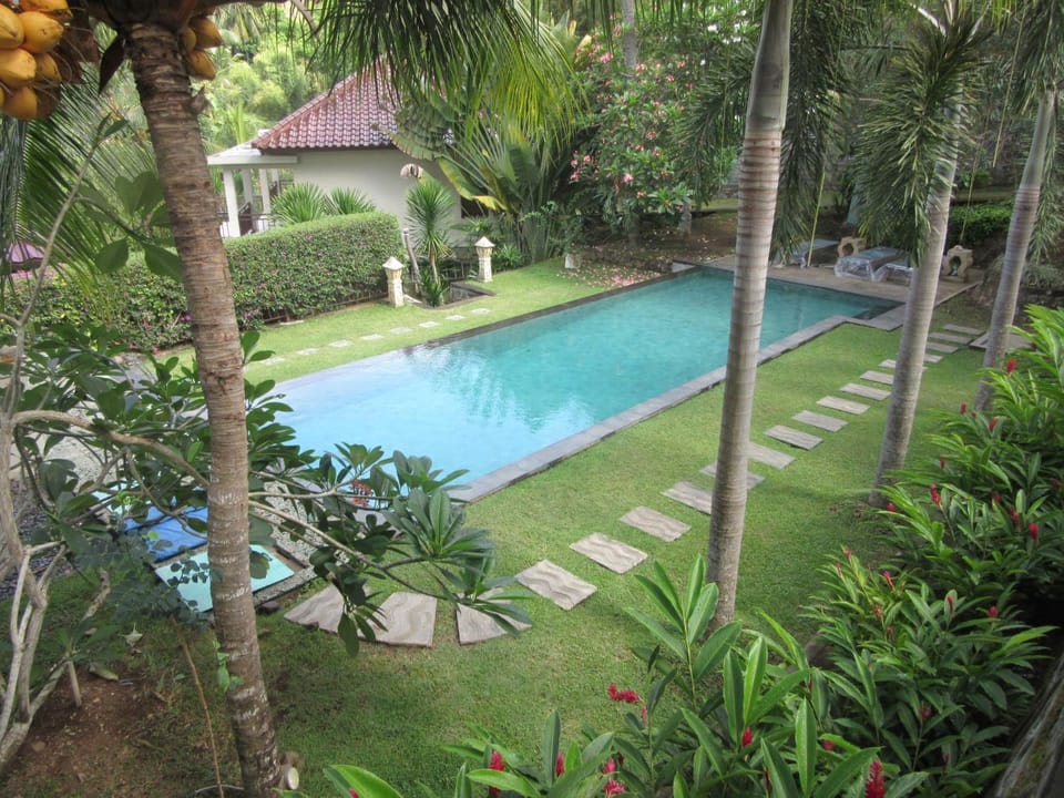 Natural landscape, Garden view, Pool view, Swimming pool