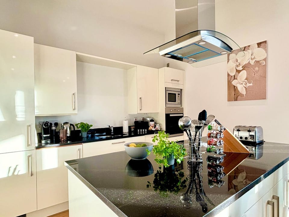 Coffee/tea facilities, Kitchen or kitchenette, Food and drinks, dishwasher, minibar, pet friendly, stove, toaster, kitchen
