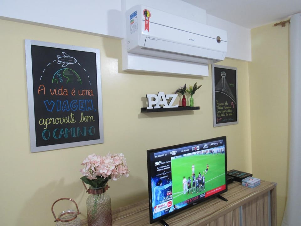 TV and multimedia, air conditioner
