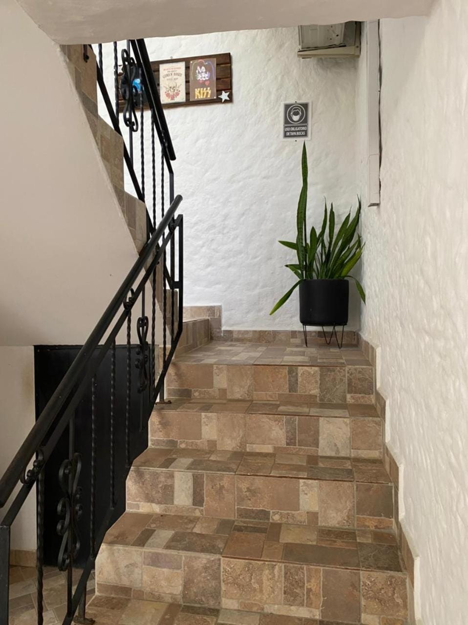 Hotel Ozzy Hotel in Doradal