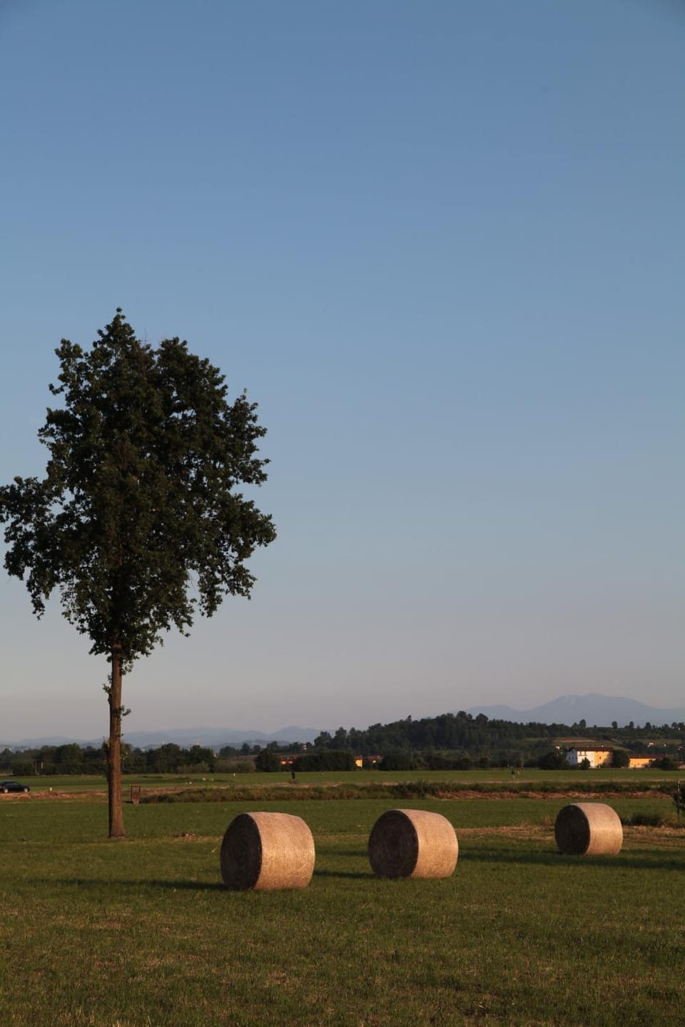 Natural landscape