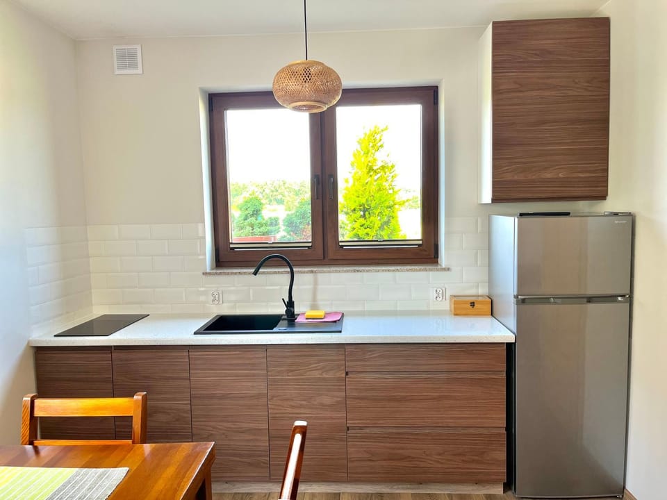 Kitchen or kitchenette, Dining area, oven, stove