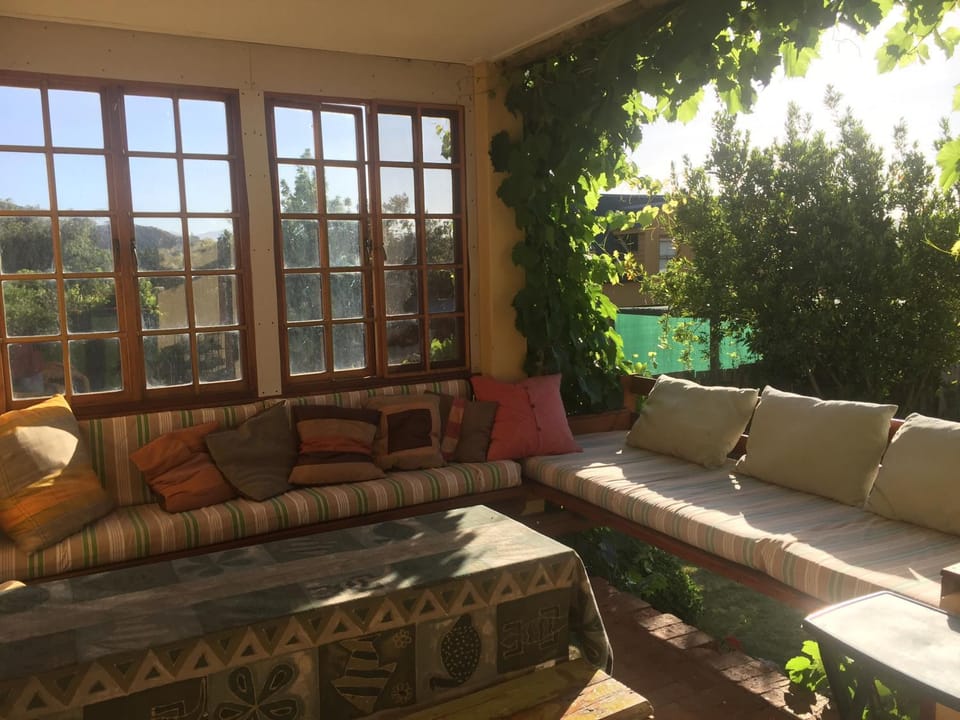 Patio, Summer, Entertainment