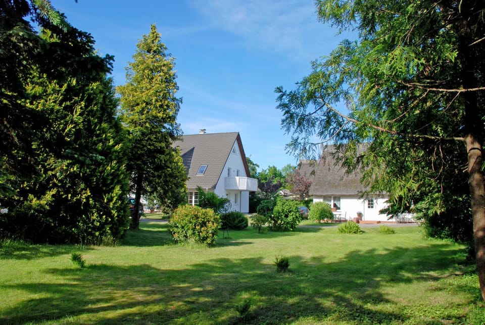 Property building, Garden, Garden view
