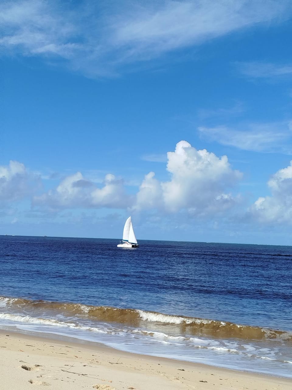 Campo das Margaridas Santo Andre Nature lodge in State of Bahia