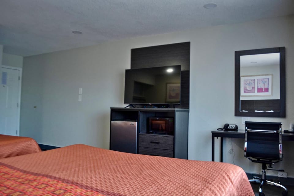 Bed, TV and multimedia